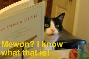 Pascal the cat knows about particle physics.