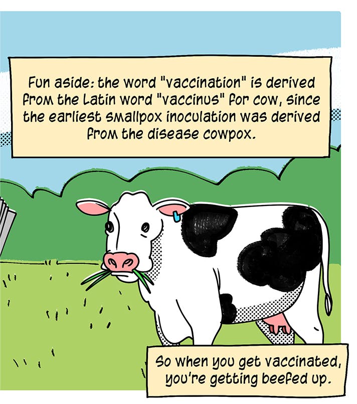 panel from "When 'Peanuts' Went All-In on Vaccinations" comic by Maki Naro and me