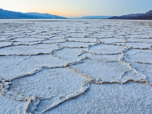 Hate the game, not the&nbsp;playa